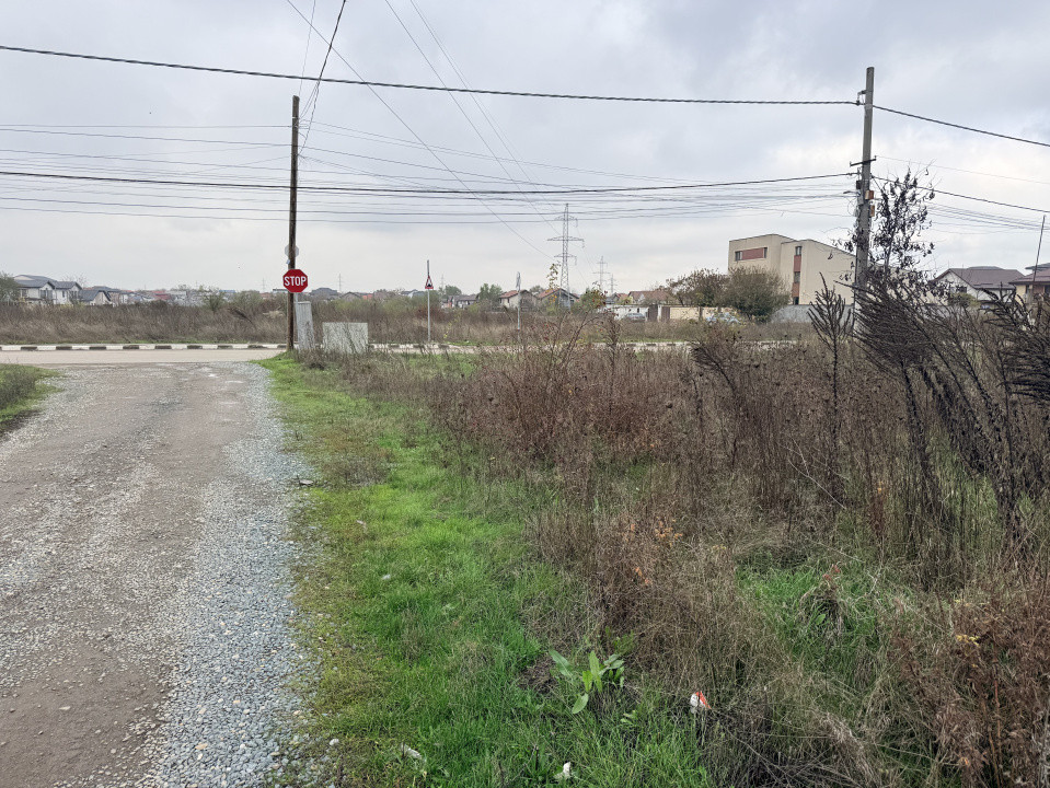 Teren Rascoala 1907, Pantelimon