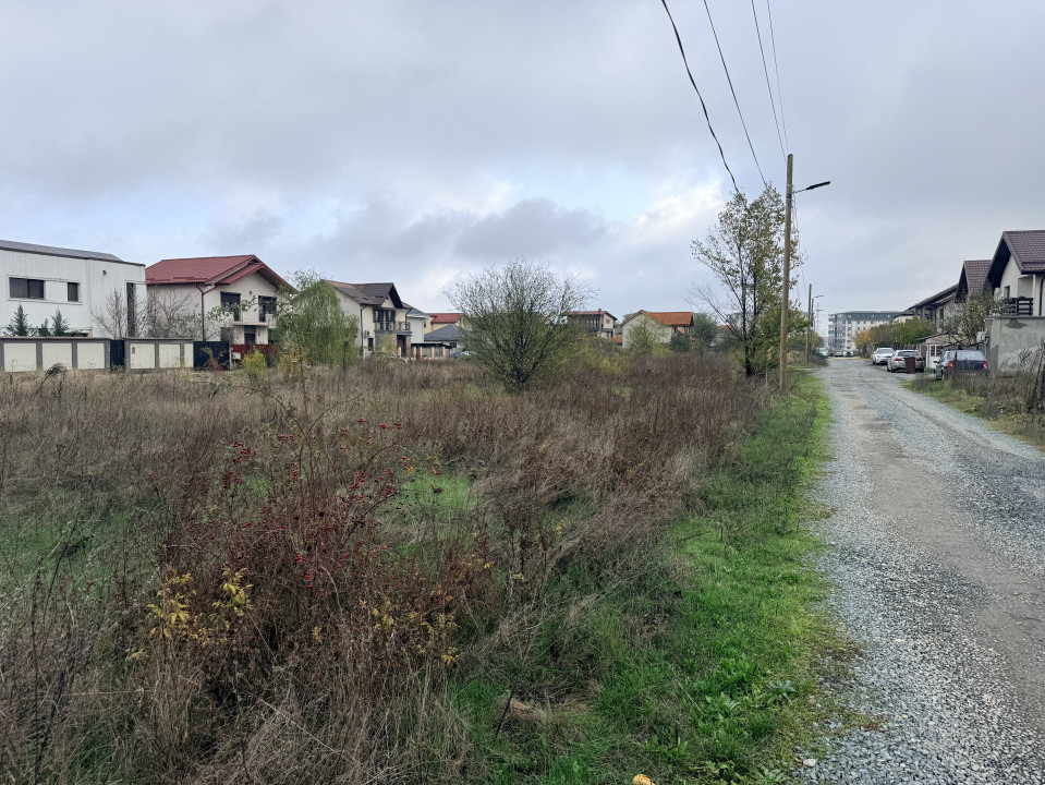 Teren Rascoala 1907, Pantelimon