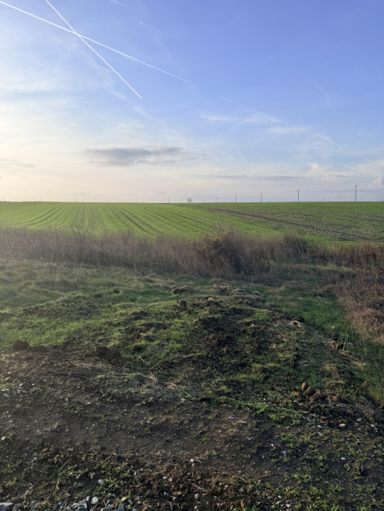 Teren De Vanzare Belciugatele 