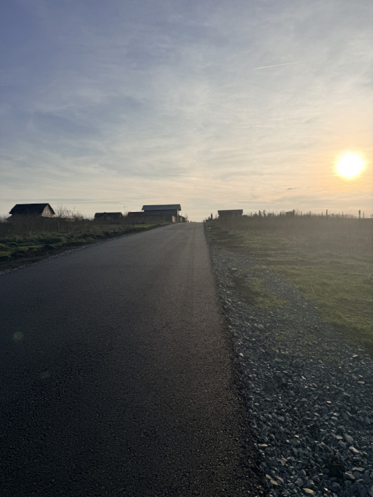 Teren De Vanzare Belciugatele 